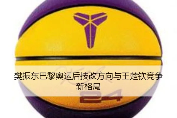 樊振东巴黎奥运后技改方向与王楚钦竞争新格局
