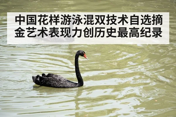 中国花样游泳混双技术自选摘金艺术表现力创历史最高纪录