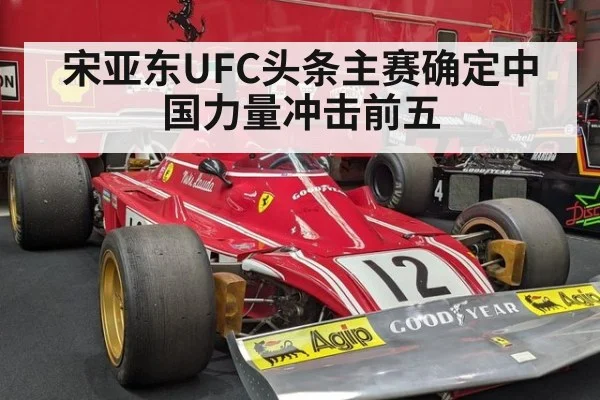 宋亚东UFC头条主赛确定中国力量冲击前五